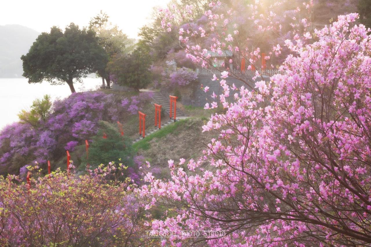 Moku杢 Villa Miyazu Buitenkant foto